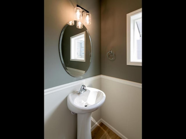 bathroom with wood-type flooring and sink