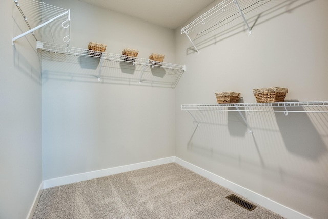 walk in closet featuring carpet floors