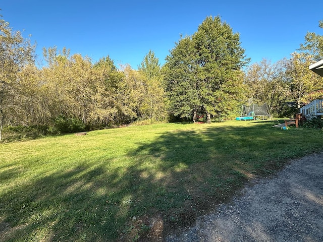 view of yard featuring a trampoline