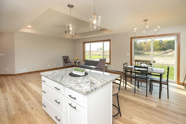 1309 18th St NE, Austin, MN 55912 - kitchen featuring a center island, a tray ceiling, visible vents, and light wood-style floors