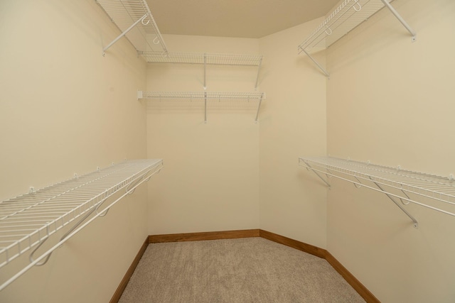 spacious closet with carpet floors