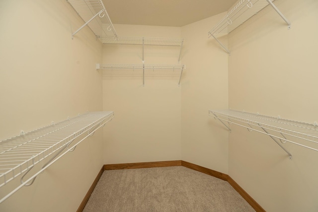 1309 18th St NE, Austin, MN 55912 - spacious closet with light carpet