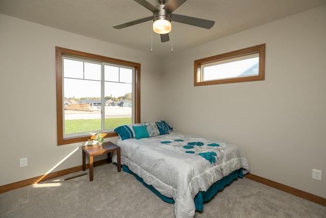 carpeted bedroom with ceiling fan, a textured ceiling, and multiple windows