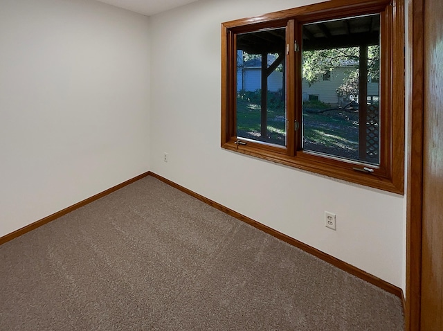 spare room featuring a wealth of natural light and carpet