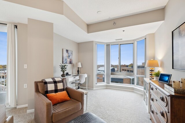 living area with light carpet