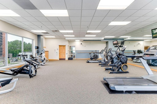 gym featuring a drop ceiling and carpet flooring