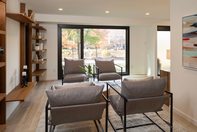 living area featuring light hardwood / wood-style flooring