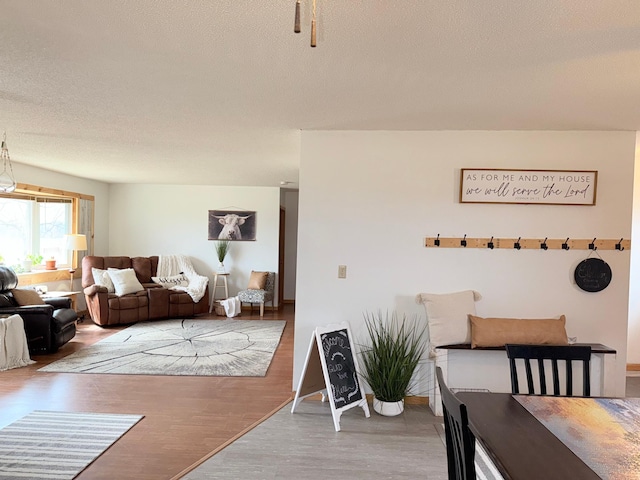 living room with a textured ceiling and wood finished floors