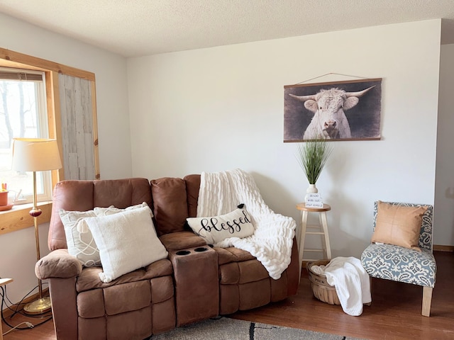living area featuring wood finished floors
