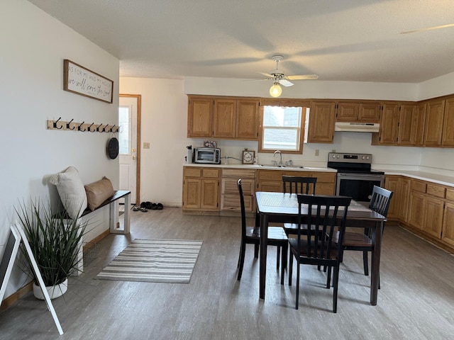 kitchen with stainless steel electric range, a sink, light wood-style floors, light countertops, and under cabinet range hood