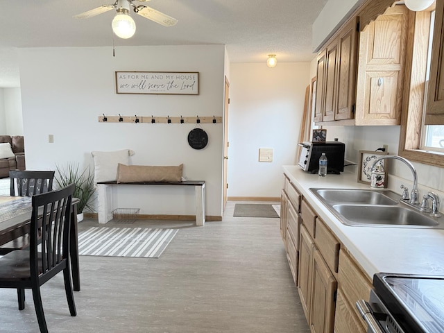 kitchen with a sink, light wood finished floors, light countertops, a ceiling fan, and stainless steel electric stove