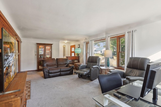 3522 Benjamin St NE, Minneapolis, MN 55418 - living room with carpet
