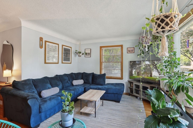 3522 Benjamin St NE, Minneapolis, MN 55418 - living area with a textured ceiling, wood finished floors, and baseboards