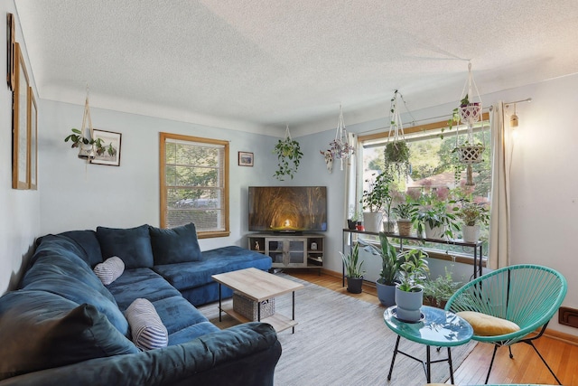 3522 Benjamin St NE, Minneapolis, MN 55418 - living room featuring a textured ceiling, wood finished floors, and baseboards