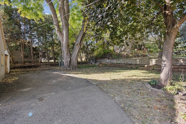 3522 Benjamin St NE, Minneapolis, MN 55418 - view of yard