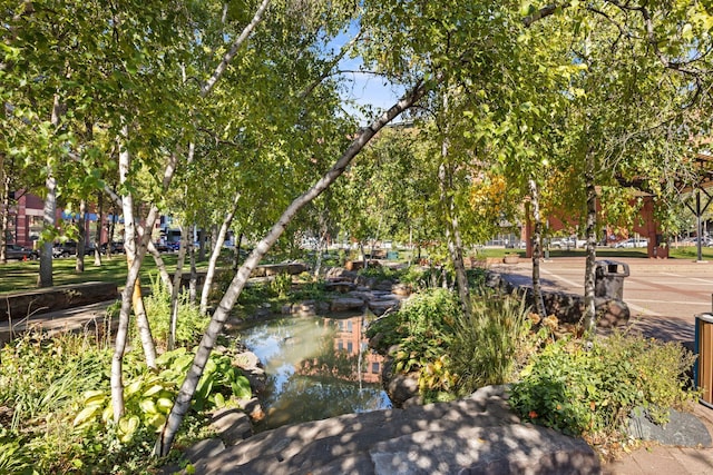 view of property's community featuring a water view