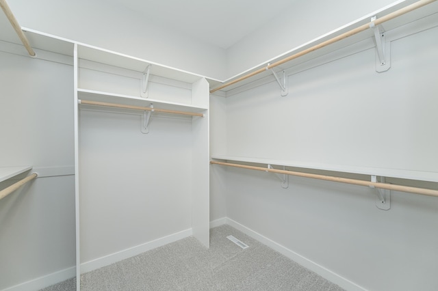 spacious closet with carpet flooring