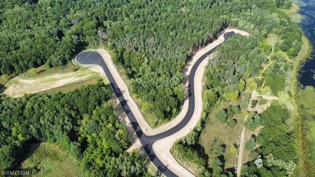 27532 Dahlia St NW, Isanti, MN 55040 - aerial overview of property's location featuring a forest