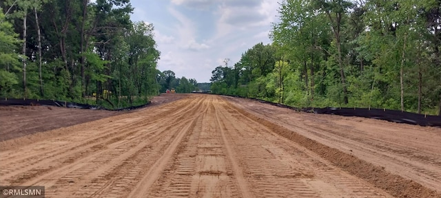 27532 Dahlia St NW, Isanti, MN 55040 - view of dirt / gravel road