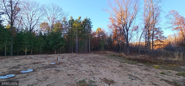27532 Dahlia St NW, Isanti, MN 55040 - view of yard