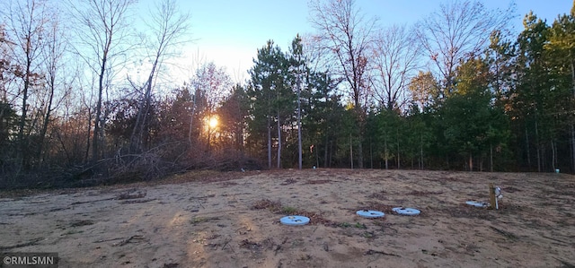 view of yard at dusk