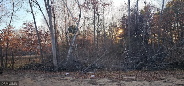 27532 Dahlia St NW, Isanti, MN 55040 - view of nature