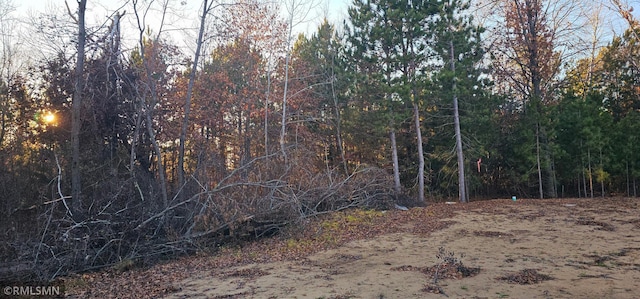 view of local wilderness