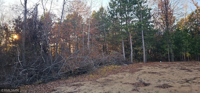 27532 Dahlia St NW, Isanti, MN 55040 - view of local wilderness