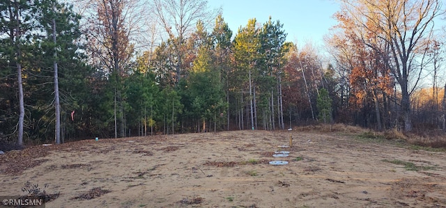 27532 Dahlia St NW, Isanti, MN 55040 - view of yard featuring a view of trees