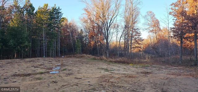 27532 Dahlia St NW, Isanti, MN 55040 - view of wooded area