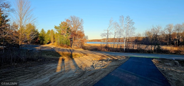 27532 Dahlia St NW, Isanti, MN 55040 - view of street