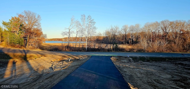 27532 Dahlia St NW, Isanti, MN 55040 - view of road