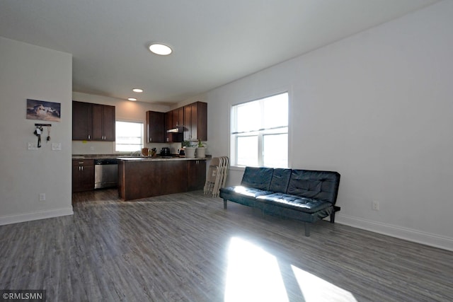 kitchen featuring stainless steel dishwasher and dark wood-type flooring