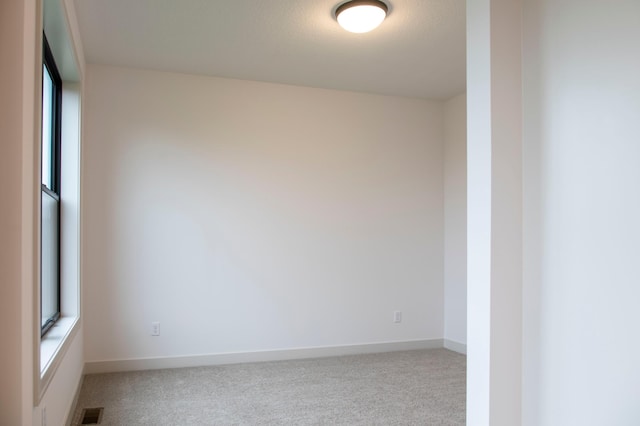 carpeted empty room featuring a wealth of natural light