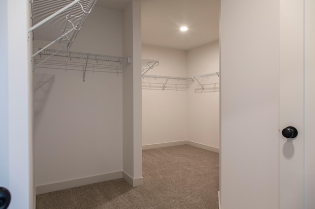 walk in closet featuring carpet floors