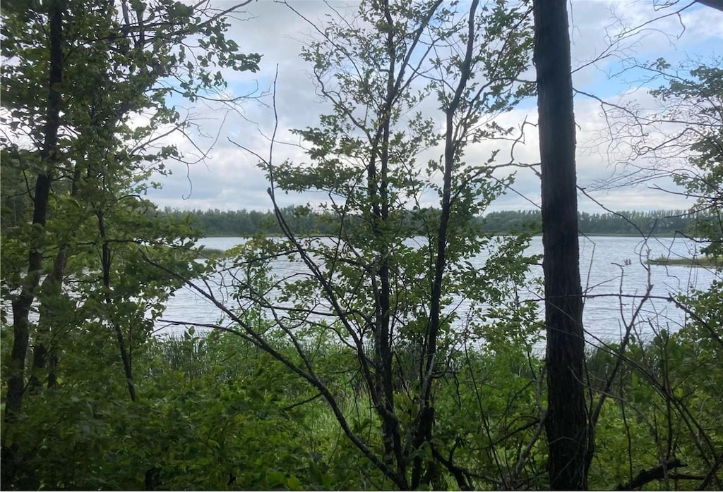 LT1 Wood Lake Dr SE, Erskine, MN 56535 - photo 1