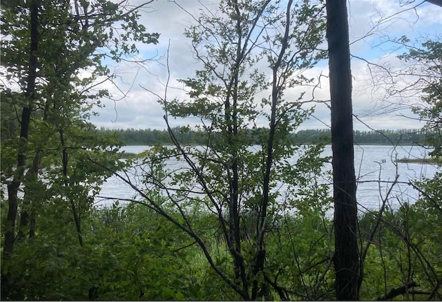 LT1 Wood Lake Dr SE, Erskine, MN 56535 - photo 1
