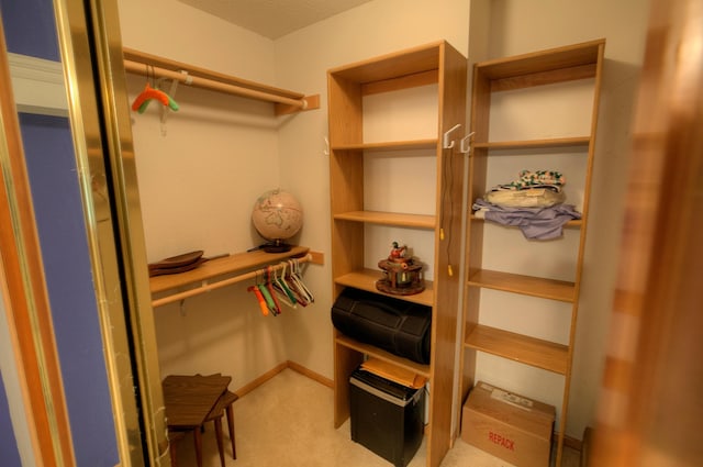 spacious closet with light carpet