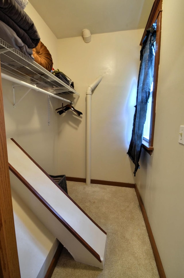 spacious closet with carpet