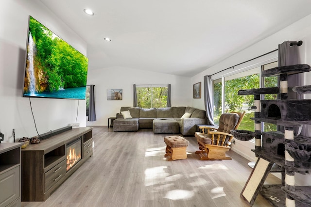 living room featuring light hardwood / wood-style floors and vaulted ceiling