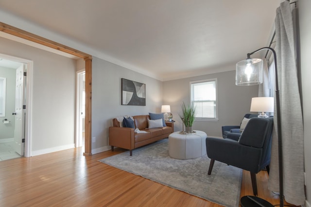 living room with light hardwood / wood-style flooring