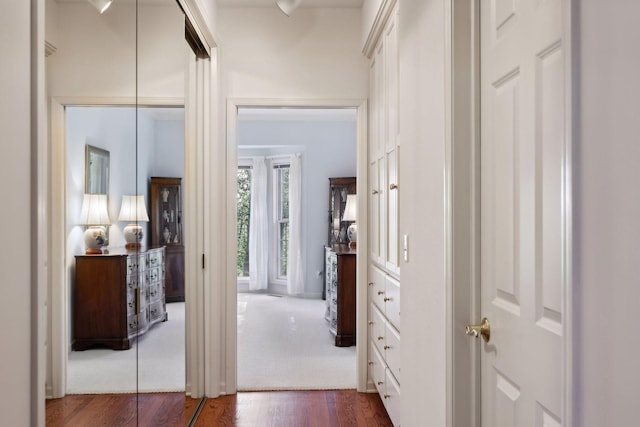 hall featuring dark wood-type flooring