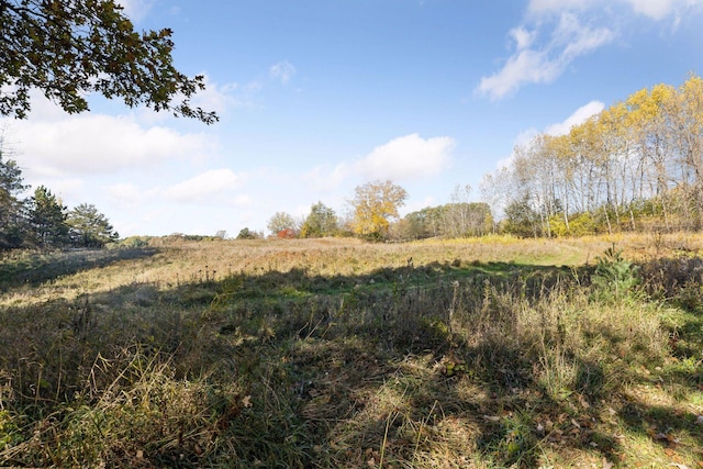 view of local wilderness featuring a rural view