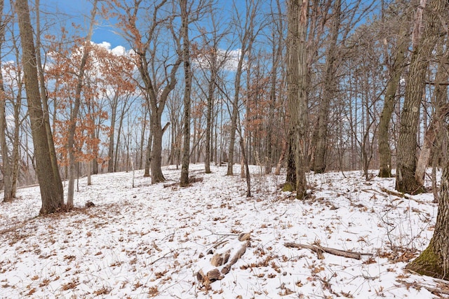 view of snowy view