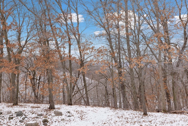 view of snow covered land