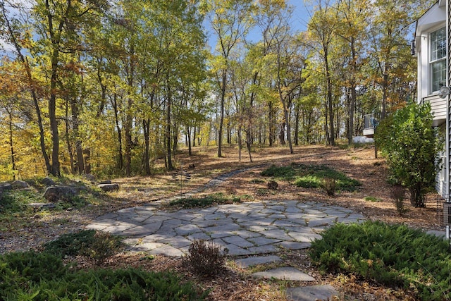 view of yard with a patio