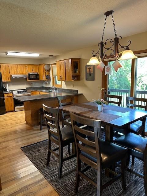 15809 Grover Ave NW, Clearwater Twp, MN 55320 - photo 15