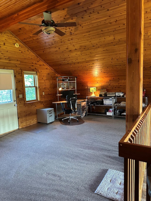 15809 Grover Ave NW, Clearwater Twp, MN 55320 - photo 18