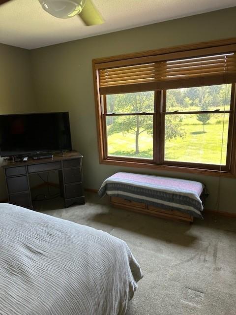 15809 Grover Ave NW, Clearwater Twp, MN 55320 - photo 23