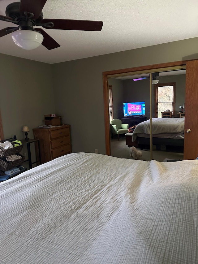 15809 Grover Ave NW, Clearwater Twp, MN 55320 - photo 24
